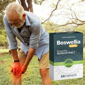 Boswellia u apotekama